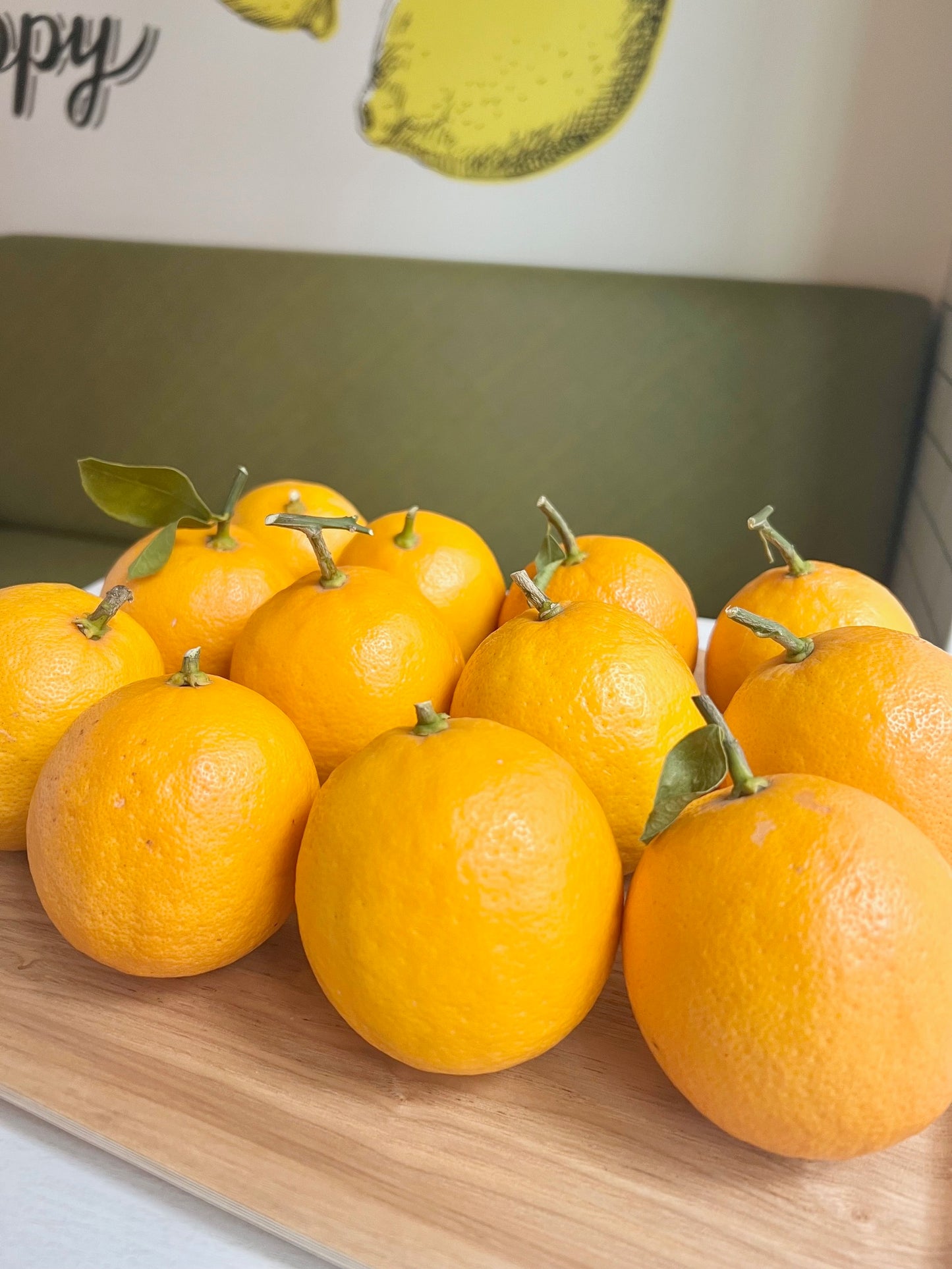 ＜送料無料＞北九州産レモン「もぎたてマイヤーレモン」約2kg